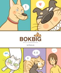 Bokbig ฉบับรวมตอนพิเศษ