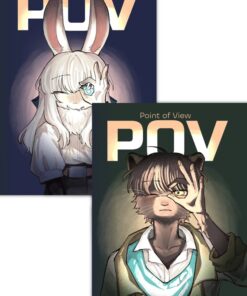 POV (Point of View)