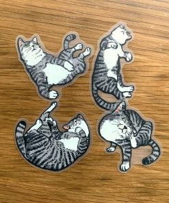 Chaebuay the Cat Sticker Set